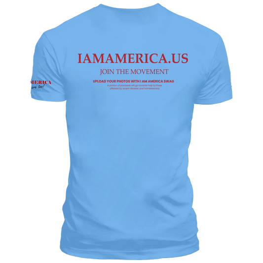 WE NEVER SURRENDER BRANDED FLAG, in lgt blue