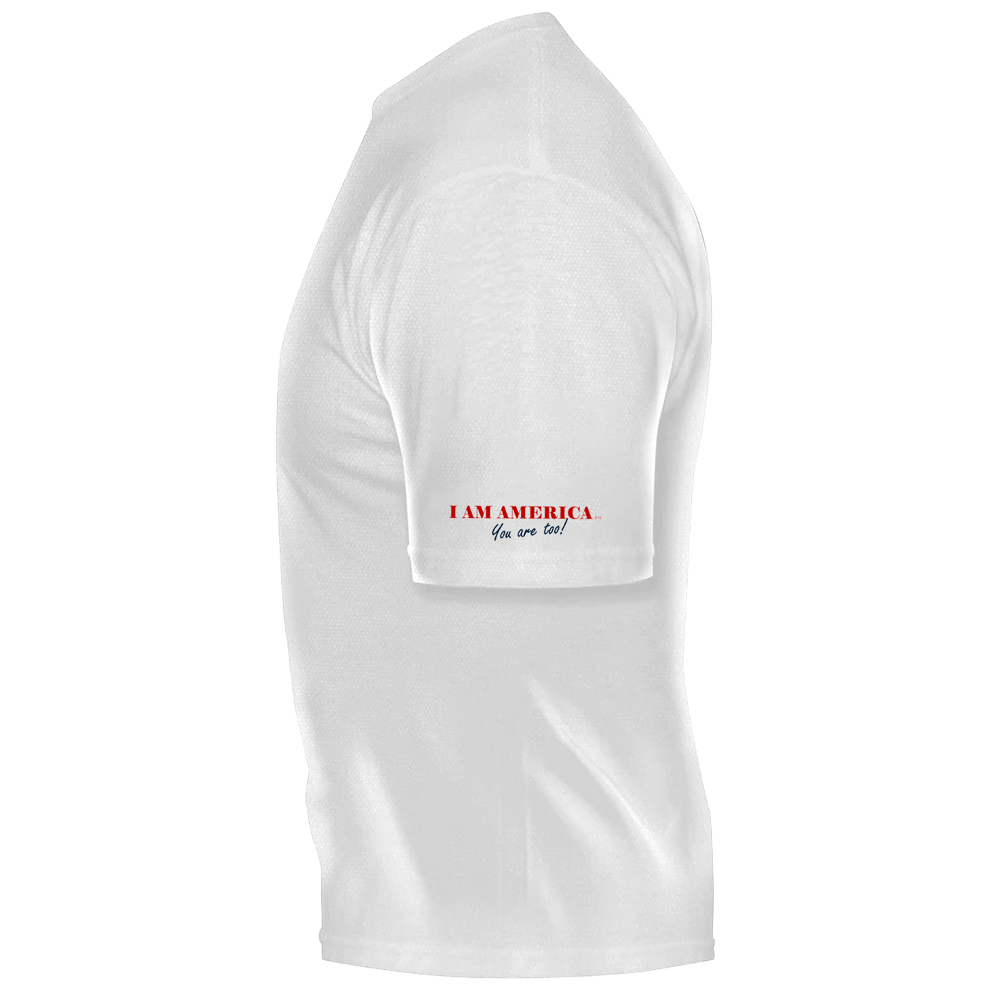 WE NEVER SURRENDER FLAG BRAND