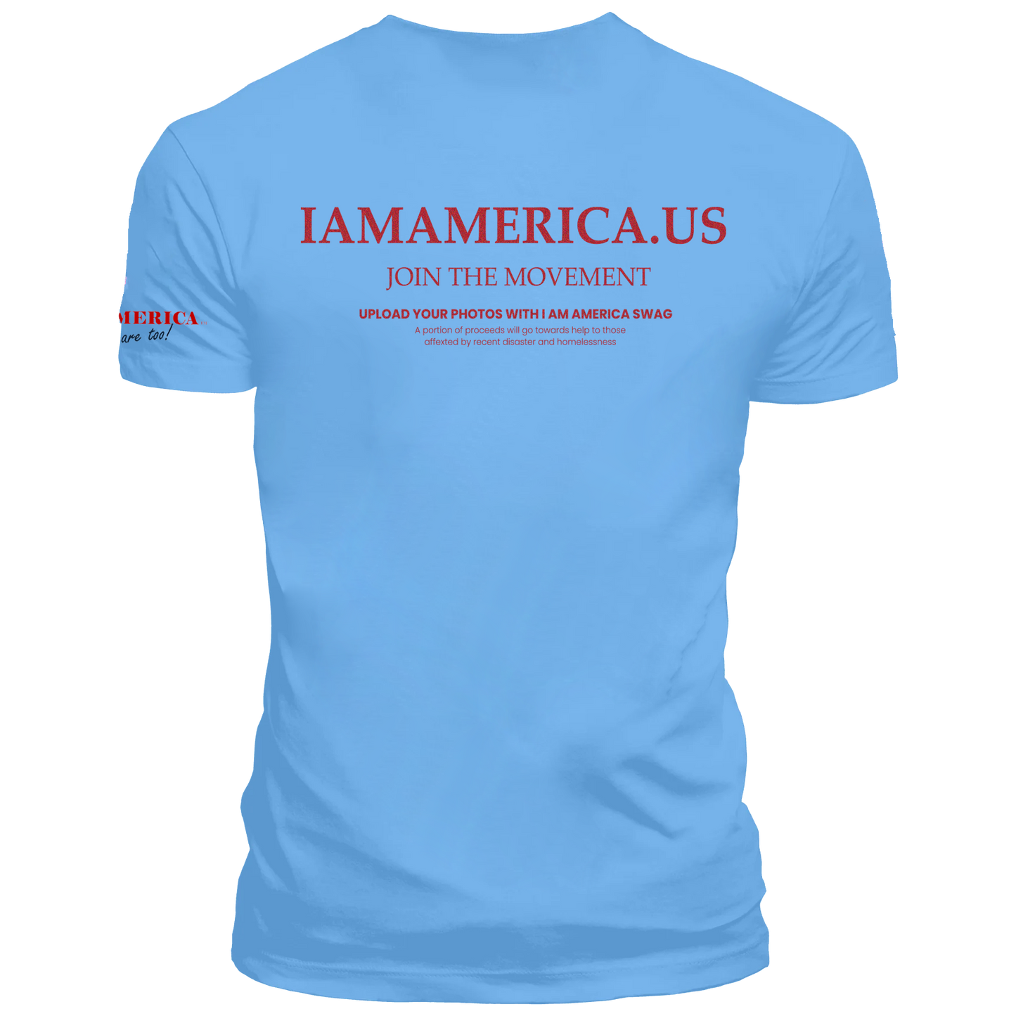 WE NEVER SURRENDER BRANDED FLAG,  in lgt blue