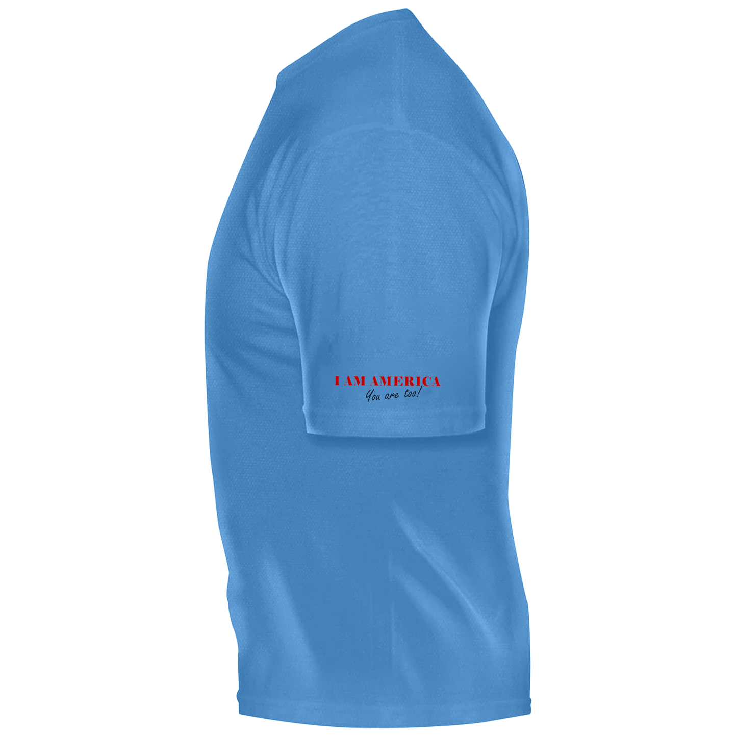WE NEVER SURRENDER BRANDED FLAG,  in lgt blue